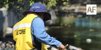 Gracias a labores de prevención, Colima acumula más de 20 años sin paludismo: Salud