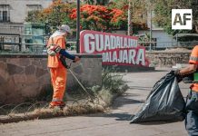 Gobierno de Guadalajara mejorará la infraestructura e imagen del mercado San Juan de Dios