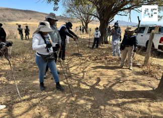 Realizan búsqueda forense en Zapopan con participación de familias y autoridades