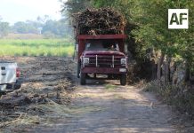 Gobierno del Estado de Colima entregó rehabilitación de caminos sacacosechas en zona rural de tres municipios