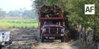 Gobierno del Estado de Colima entregó rehabilitación de caminos sacacosechas en zona rural de tres municipios