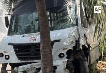Urbano colisiona contra palmera tras falla mecánica en Santiago, Manzanillo
