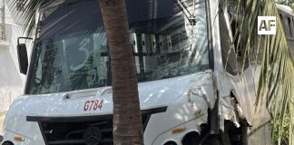Urbano colisiona contra palmera tras falla mecánica en Santiago, Manzanillo