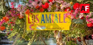 Los Amiales, atractivo natural en Coquimatlán