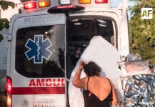 Al menos 15 afectados por picaduras de abejas en Armería; todos estables