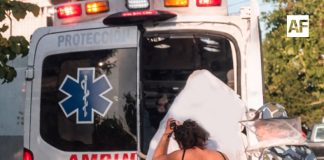 Al menos 15 afectados por picaduras de abejas en Armería; todos estables