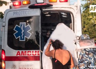 Al menos 15 afectados por picaduras de abejas en Armería; todos estables