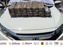 Mesa de Coordinación Estatal informa aseguramiento de más de 65 kilogramos de cocaína en Tecomán