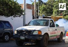 Estado de Colima se mantiene sin casos de dengue en 2026: SS