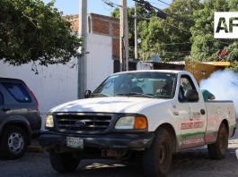 Estado de Colima se mantiene sin casos de dengue en 2026: SS