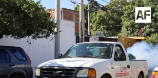 Estado de Colima se mantiene sin casos de dengue en 2026: SS