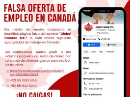 Alerta Policía Cibernética de Colima por fraude con falsas ofertas de empleo en Canadá