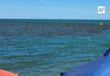Semar descarta derrame de hidrocarburos en playa de San Felipe, Baja California