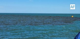 Semar descarta derrame de hidrocarburos en playa de San Felipe, Baja California