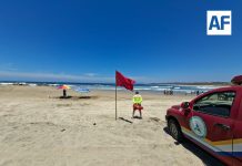 UEPCBJ mantiene operativo de prevención y respuesta en periodo vacacional