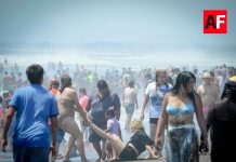 Cuyutlán lleno de vida