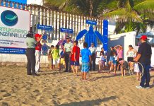 Guardia Nacional libera 100 tortugas marinas en Colima durante operativo de Semana Santa