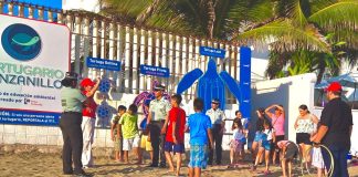 Guardia Nacional libera 100 tortugas marinas en Colima durante operativo de Semana Santa