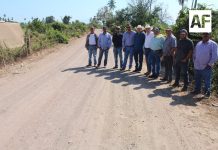 Administración de Indira Vizcaíno rehabilita caminos sacacosechas en comunidades rurales de Armería