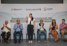 Indira Vizcaíno encabezó la presentación del Programa Sembrando Vida a arroceros en Colima