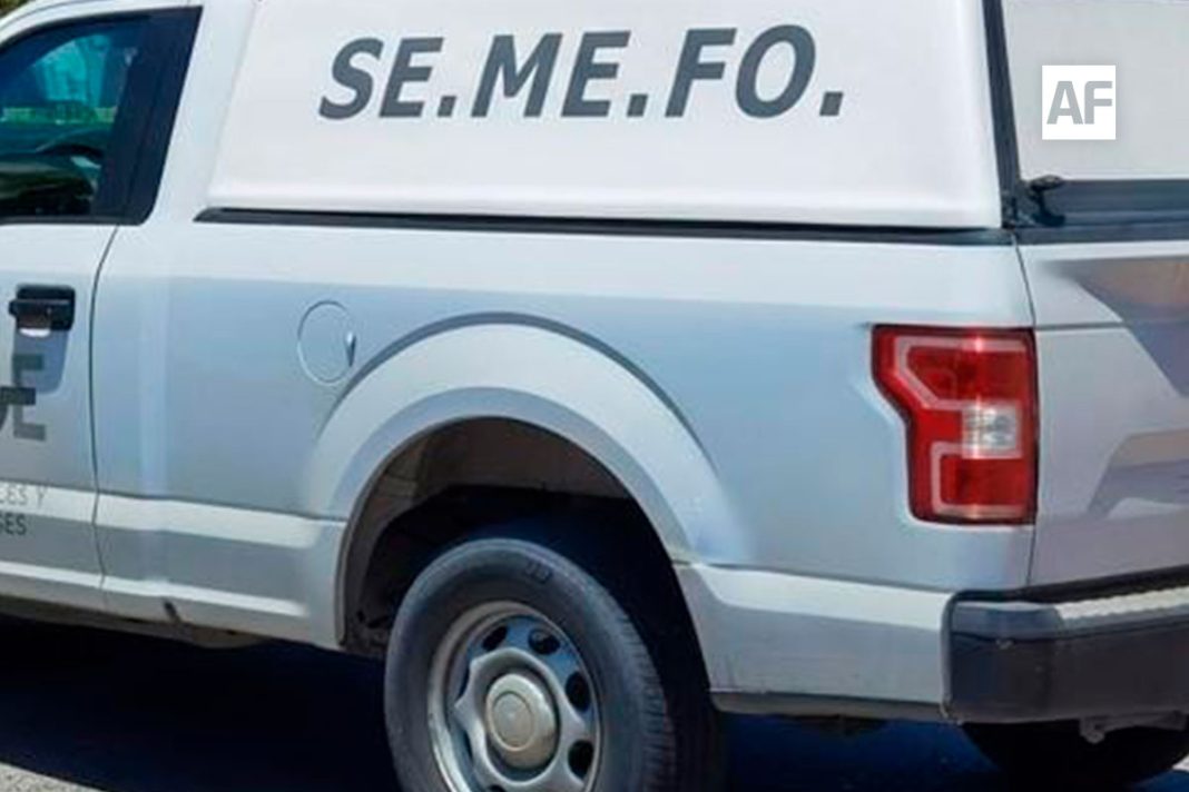 semefo-manzanillo-001