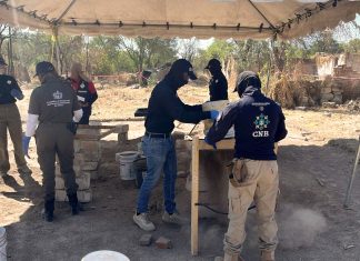 Comisión Nacional de Búsqueda realiza trabajos forenses en Lagos de Moreno, Jalisco