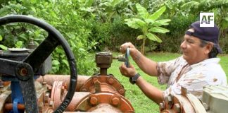 Amplía Gobierno de México al 29 de mayo el plazo para inscribirse al Programa Especial de Energía para el Campo (PEUA)