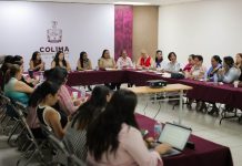 ICM y colectivas feministas trabajan para atender Declaratoria de Alerta de Violencia de Género contra Mujeres