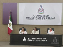 Congreso reforma Constitución sobre no reelección, nepotismo, tiempo de campaña e intervención de gobernador en elecciones