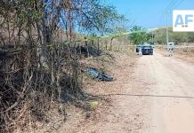 Encuentran cadáver de hombre, asesinado a balazos, en zona alta de Manzanillo