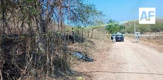 Encuentran cadáver de hombre, asesinado a balazos, en zona alta de Manzanillo