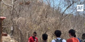 Rescatan a cinco senderistas extraviados en el Cerro de Juluapan, en Manzanillo