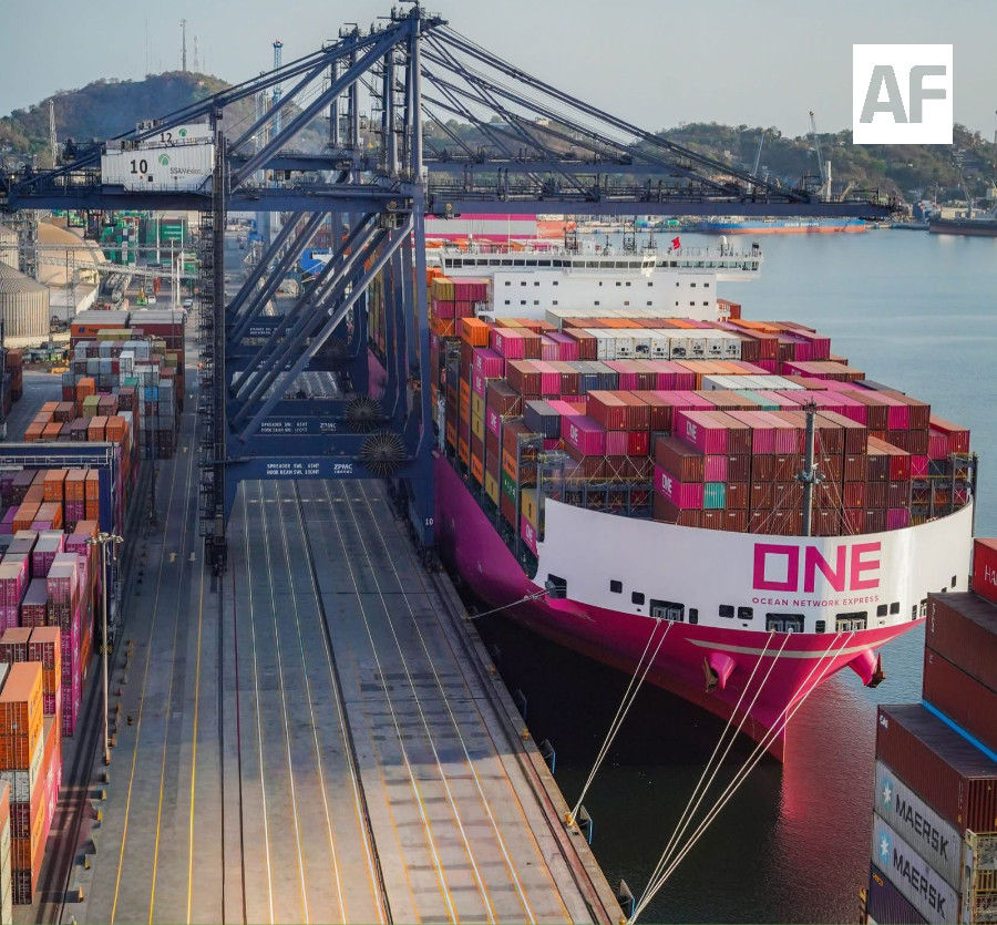 Puerto de Manzanillo, buque con contenedores1