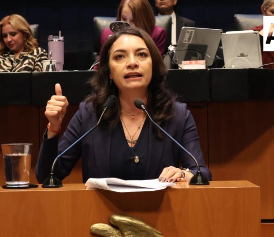 Mely Romero propone que la intervención del crimen organizado en una elección, sea causa de nulidad