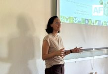 Gobierno del Estado de Colima fortalece la gobernanza ambiental regional con encuentro técnico del proyecto GEF-Cobiocom