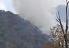 Brigadas mantienen atención activa a incendios forestales en el estado de Colima