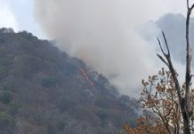 Brigadas mantienen atención activa a incendios forestales en el estado de Colima