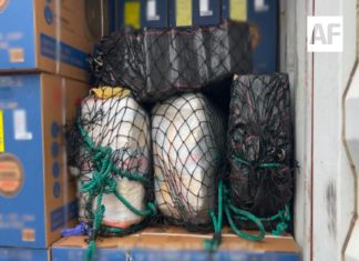 Aseguran posible cocaína en puerto de Manzanillo; Gabinete de Seguridad reporta operativos en 10 estados