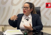 Conagua realizará jornada de limpieza en arroyo Manrique previo a temporada de lluvias