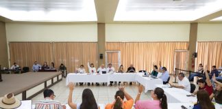 Autorizan estímulos fiscales para usuarios de Tecomán y Armería