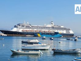 Colima inicia temporada de cruceros con cuatro arribos en octubre; industria del ramo dejó 53 MdP el año pasado
