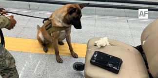 Aseguran más de 8 kilos de cocaína ocultos en una silla de ruedas en el AICM