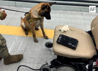 Aseguran más de 8 kilos de cocaína ocultos en una silla de ruedas en el AICM