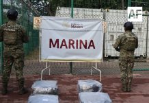 Marina asegura más de 200 kilos de presunta cocaína en el puerto de Manzanillo