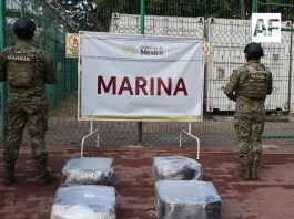 Marina asegura más de 200 kilos de presunta cocaína en el puerto de Manzanillo
