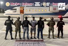 Detienen en Quintana Roo a presunto líder de organización delictiva internacional