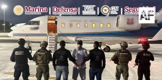 Detienen en Quintana Roo a presunto líder de organización delictiva internacional
