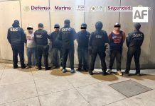 Detienen en CDMX a cuatro personas con más de una tonelada de droga oculta en cajas de huevo