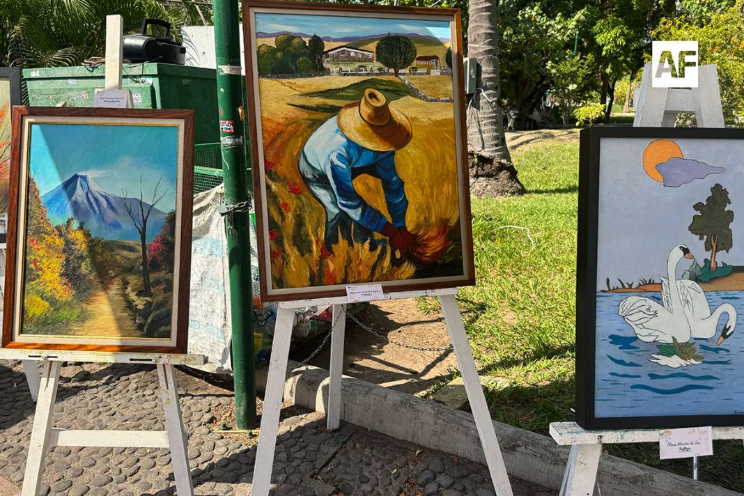 exposicion-comparan-18