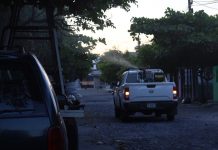 Colima se mantiene libre de casos de dengue y está entre los estados del país con menor incidencia